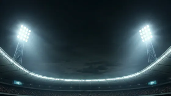 SkyinPlay live cricket odds updating in real time during a T20 match